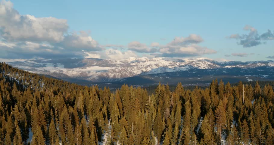 Aerial view of a forest with mountains in the background