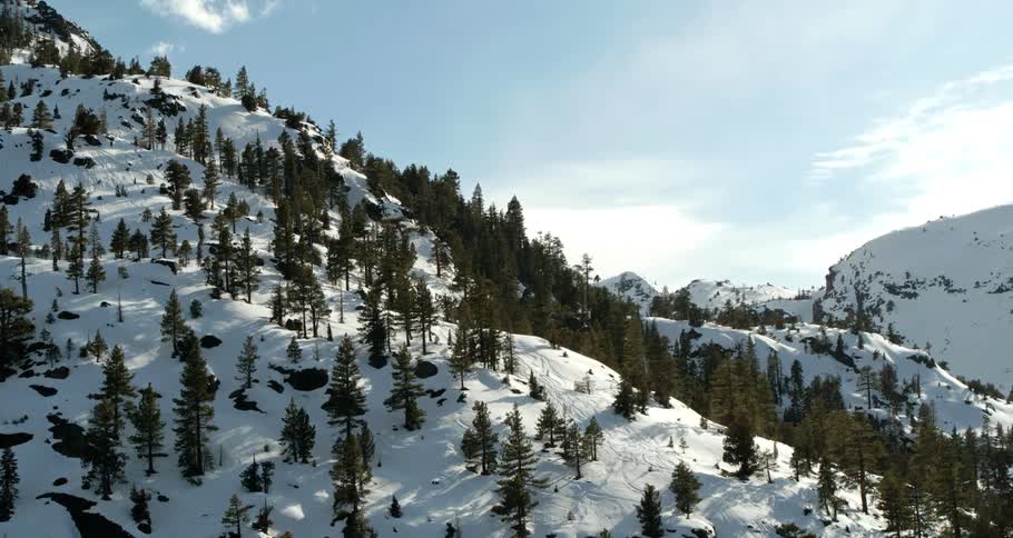 The mountains are covered with trees and snow