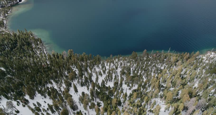 An aerial view of snowy forest on the shore of a lake