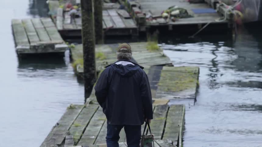 Man walks on an old mossy dock