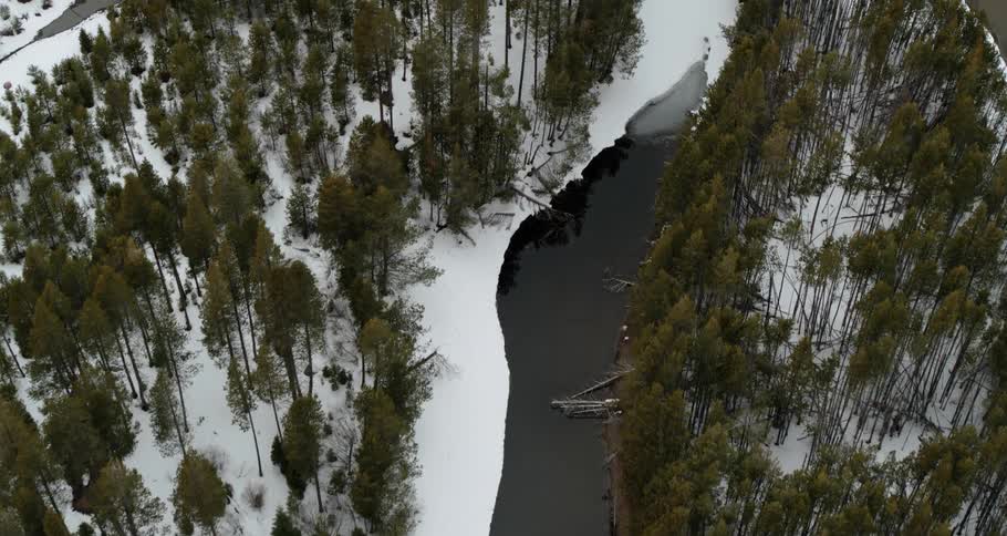 An aerial view of a river flowing through a snowy forest on a winter day