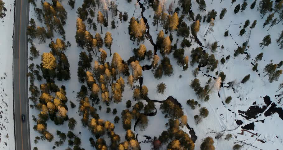 A road with a vehicle that is next to trees snow and ice