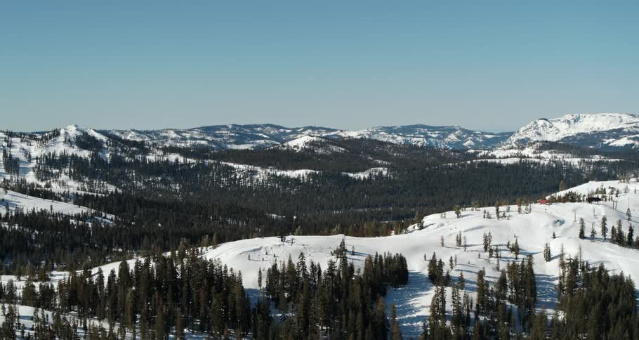 An evergreen forest in the valley of a snowy mountain range