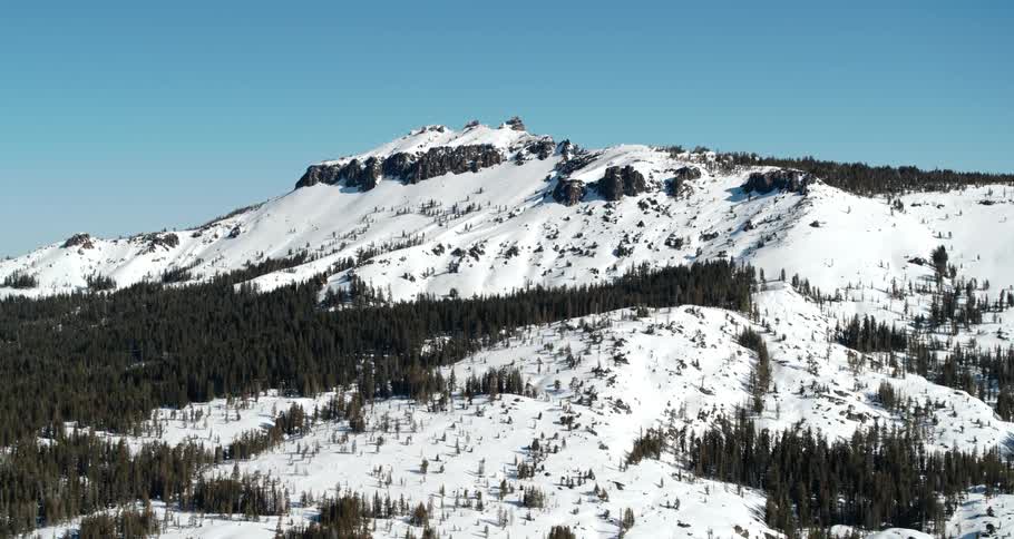Snowy mountain with pine trees
