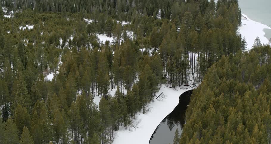 An aerial view of a snow covered forest on the edge of a body of water