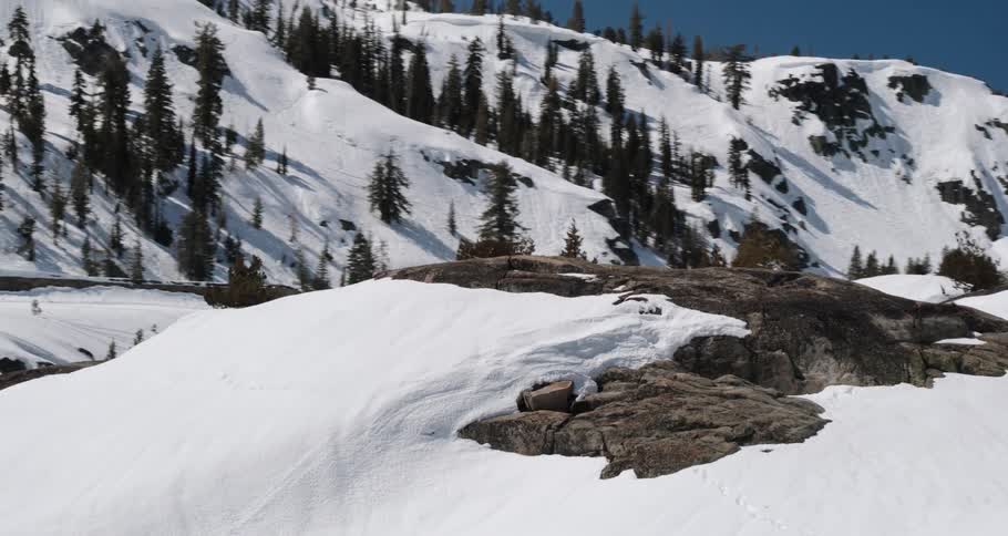 Trees peek out from under a layer of snow on the side of a mountain