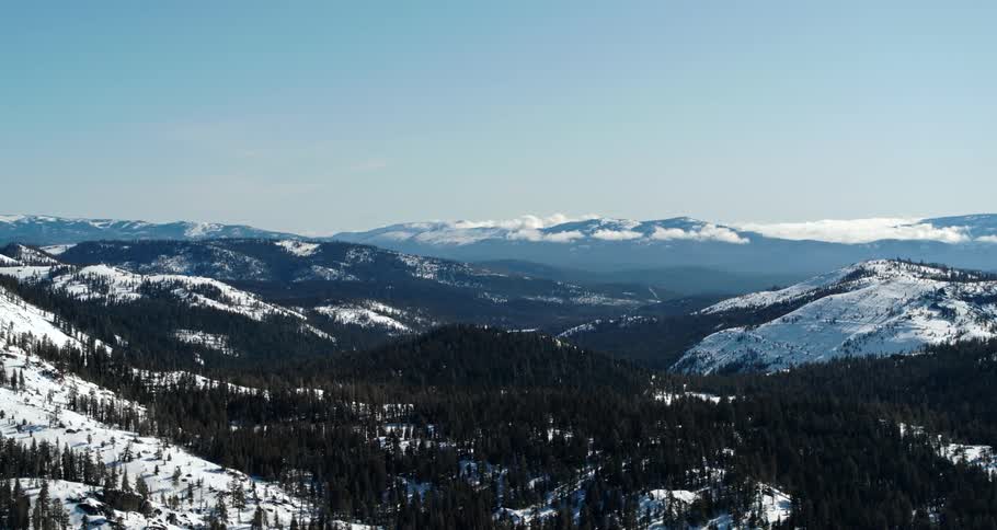 Pine trees cover a snowy mountain landscape on a winter day