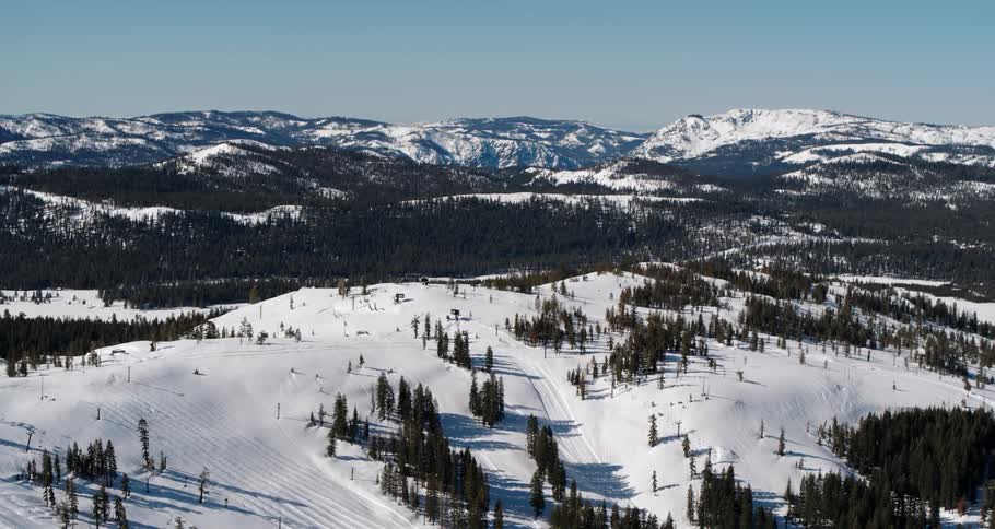 A winter landscape contains large patches of evergreen trees and the ground is completely covered in snow