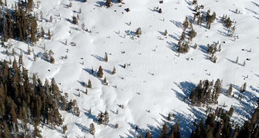 Aerial view of a snow covered field with trees