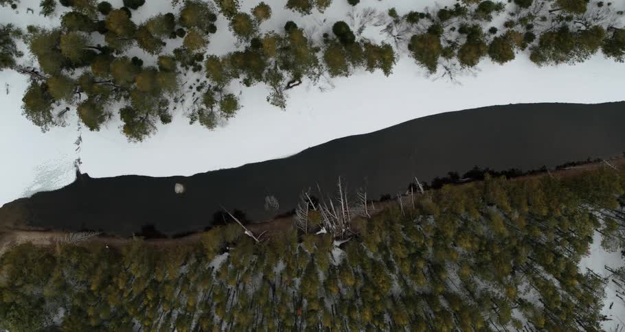 Aerial view of a river flowing next to a snowy tree covered bank