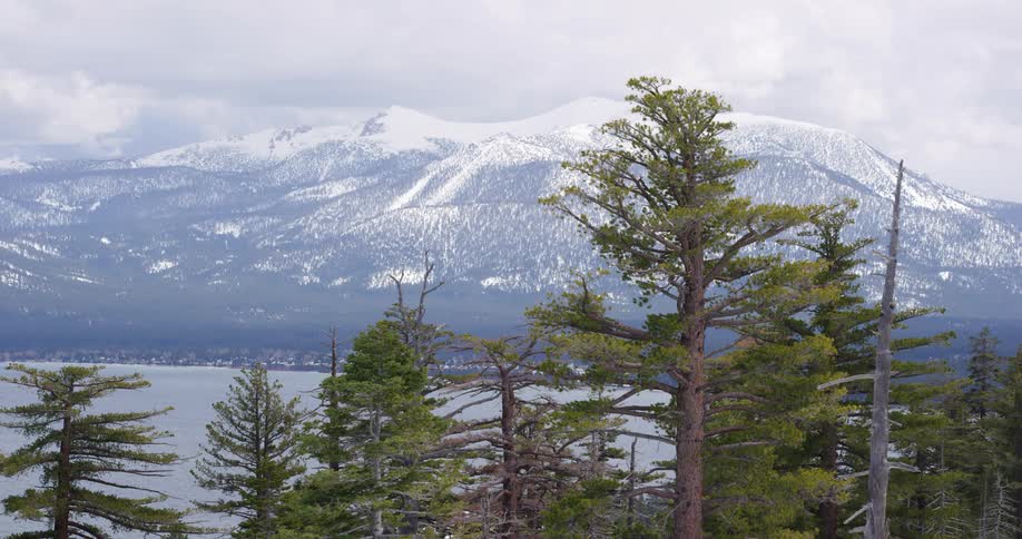 An aerial view of a forest and mountains is displayed