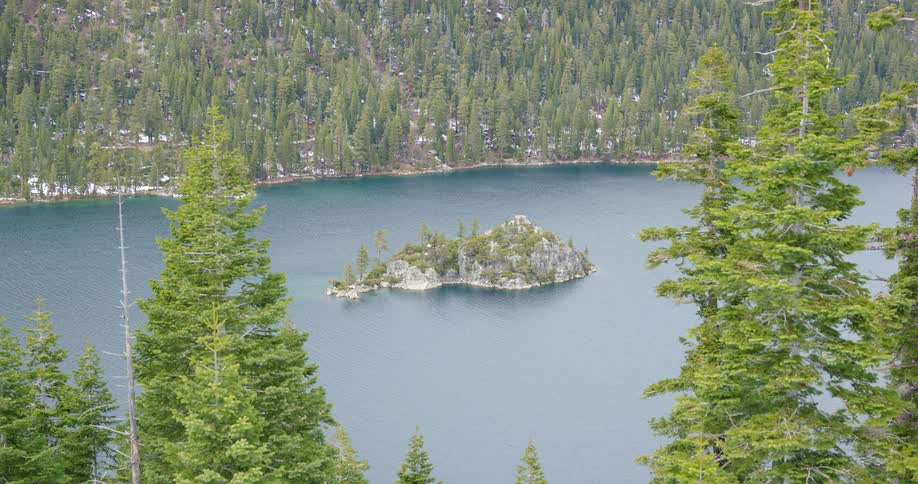 A small island covered with trees sits in the middle of a lake in the middle of a forest