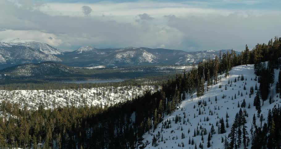 An aerial view of a mountain covered with trees is displayed