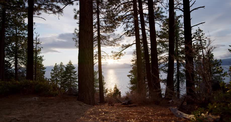 The sun shines over a lake next to pine trees on a fall day