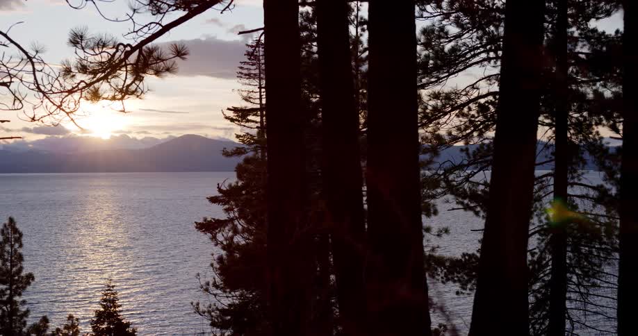 Silhouette of pine trees in a forest near a lake next to the mountains at sunset