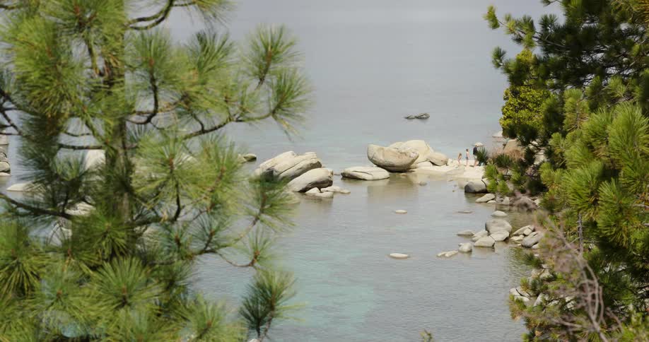 A body of water with fir trees on the shore