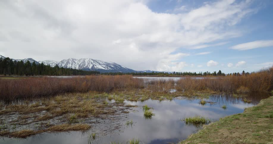 A marshy lake in front of a snowy mountain landscape in the daytime