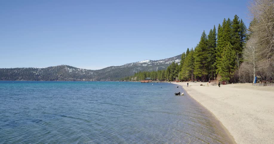 Two dogs going into the water of a lake with people trees and a mountain range in the background