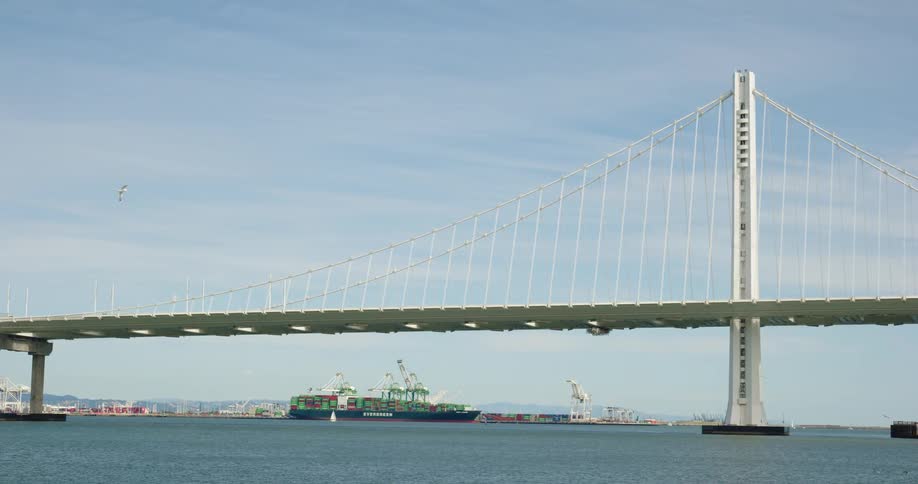 Cargo ships float near suspension bridge under cloudy sky