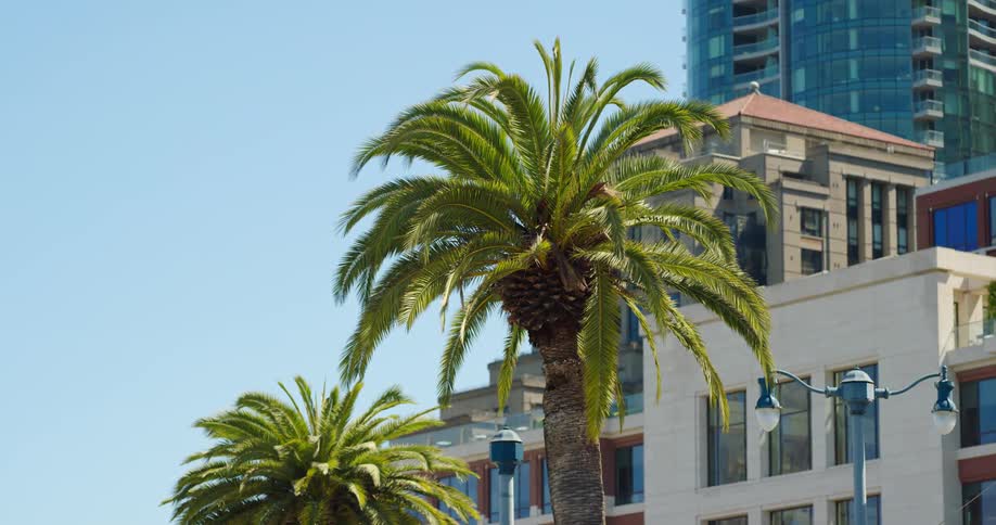A view of a downtown city is displayed