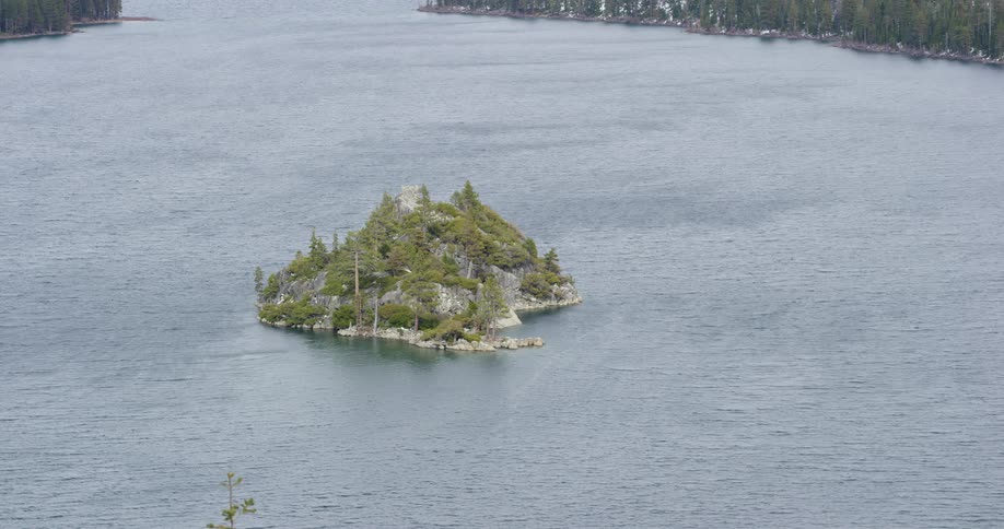 A small island in the ocean is covered with trees and boulders