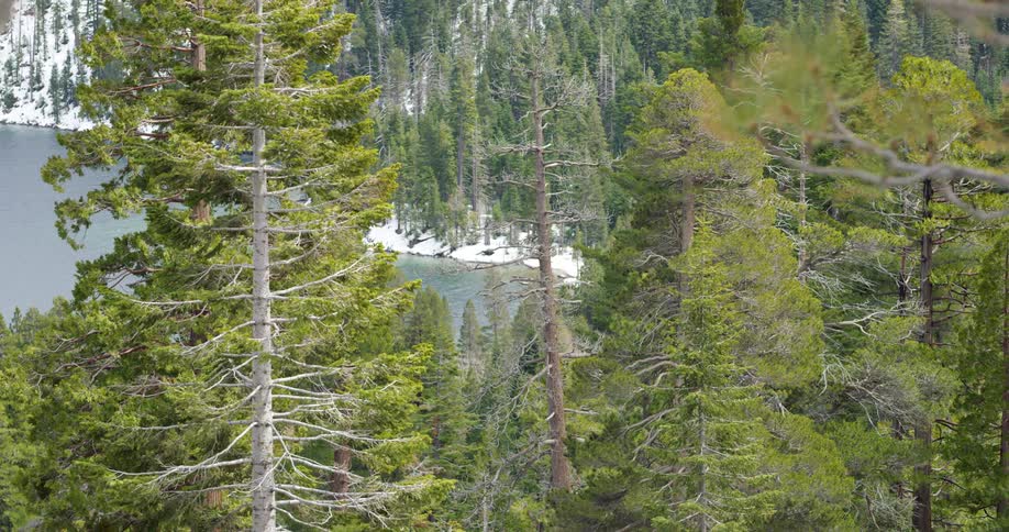 Landscape view of a lake and forest