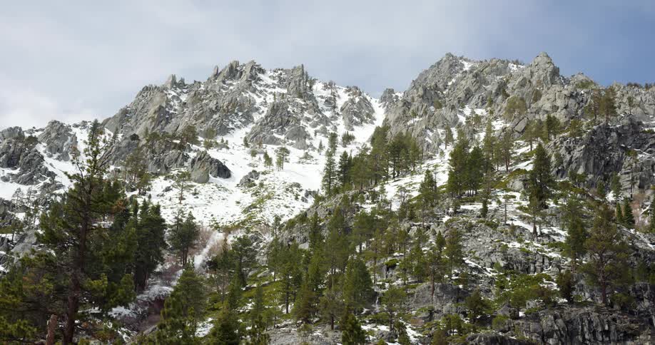A snow covered mountain with trees