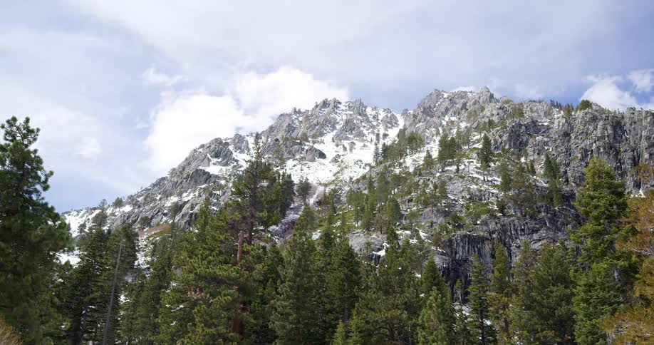 Trees in front of a mountain range