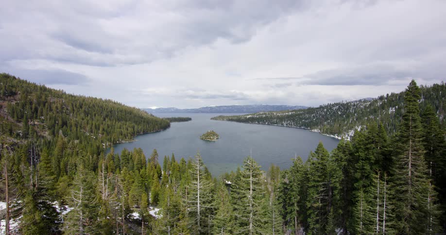 The water is calm near the forest