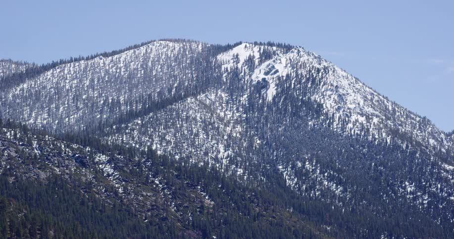 A tree covered snowy mountain in winter
