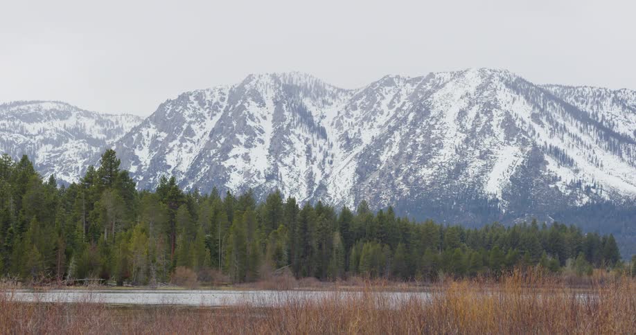Snowy mountains and pine trees next to a lake in the wilderness