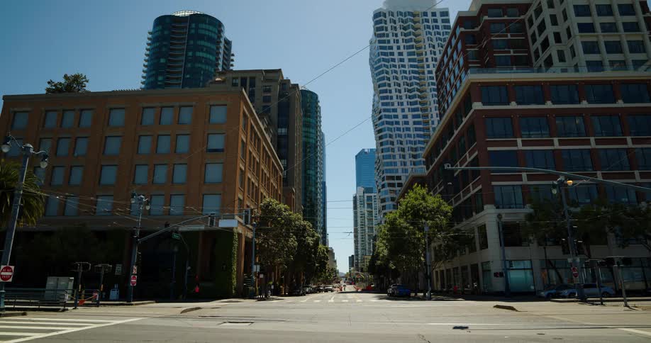 A person crosses an intersection with their dog in a downtown area