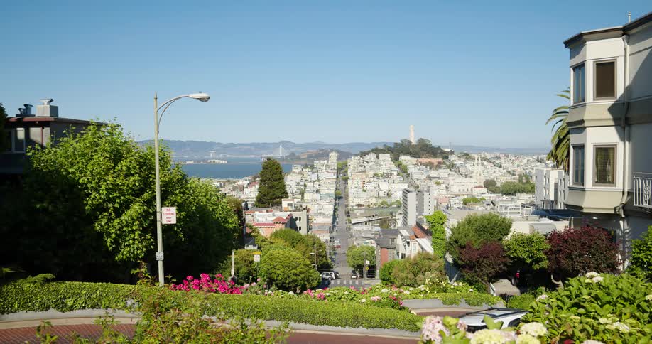 A flower garden in a neighborhood with a lake and hills in the far distance