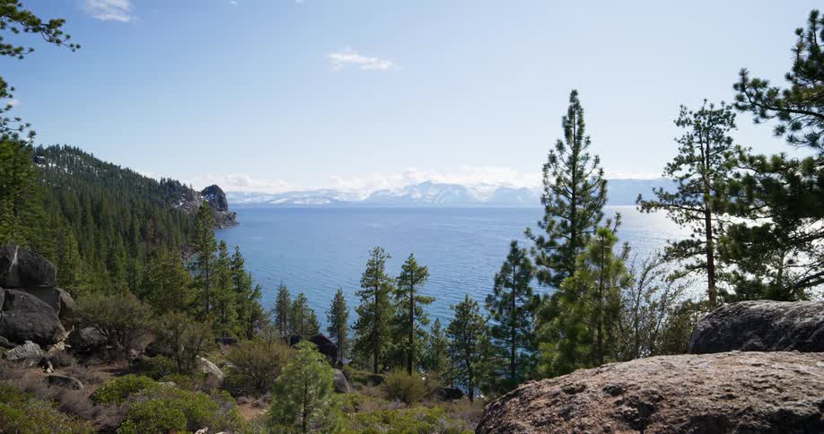 Landscape view of a forest in front of a lake with mountains in the distance