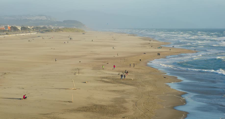 People and dogs walking along the beach as waves roll in