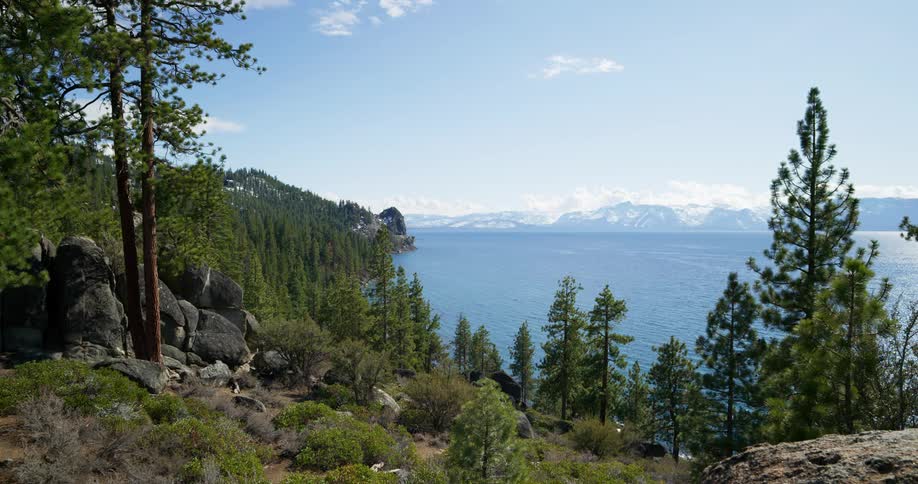 Trees and plants in the shoreline with a lake and mountain range the sky and clouds in the background