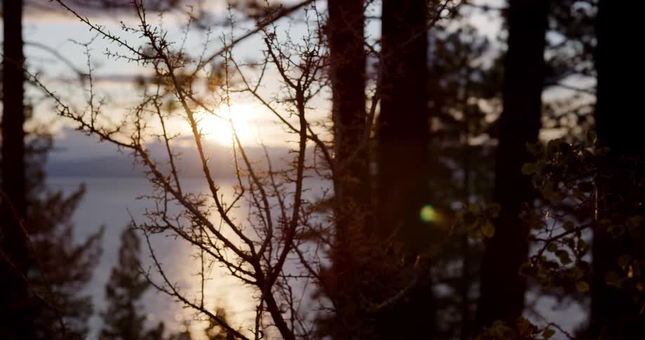 Landscape view of the sun setting over a lake and forest