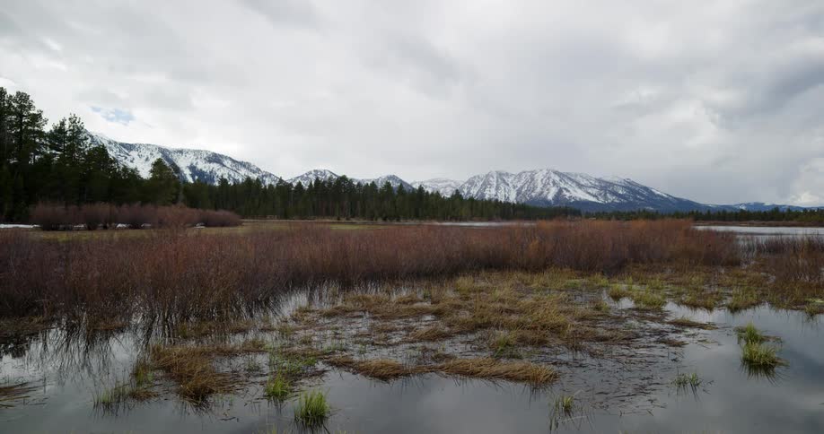 Below a towering mountain range covered in snow grassy wetlands are located next to a forest