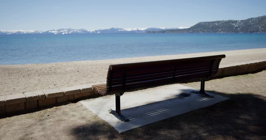 A park bench on a sandy lakefront in the daytime