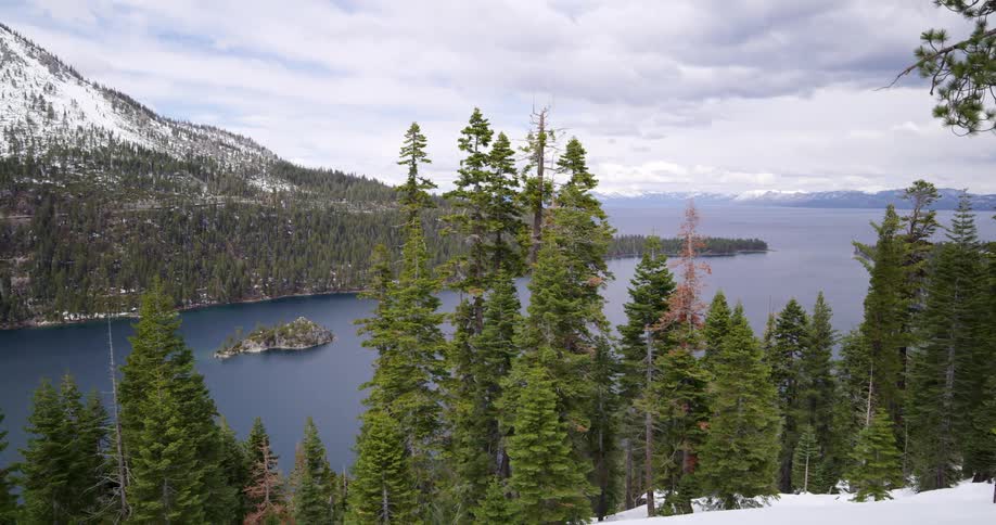Landscape of a lake and snowy forest
