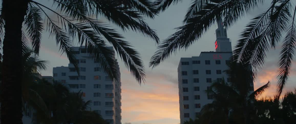Palm trees blow in the wind in front of two tall buildings