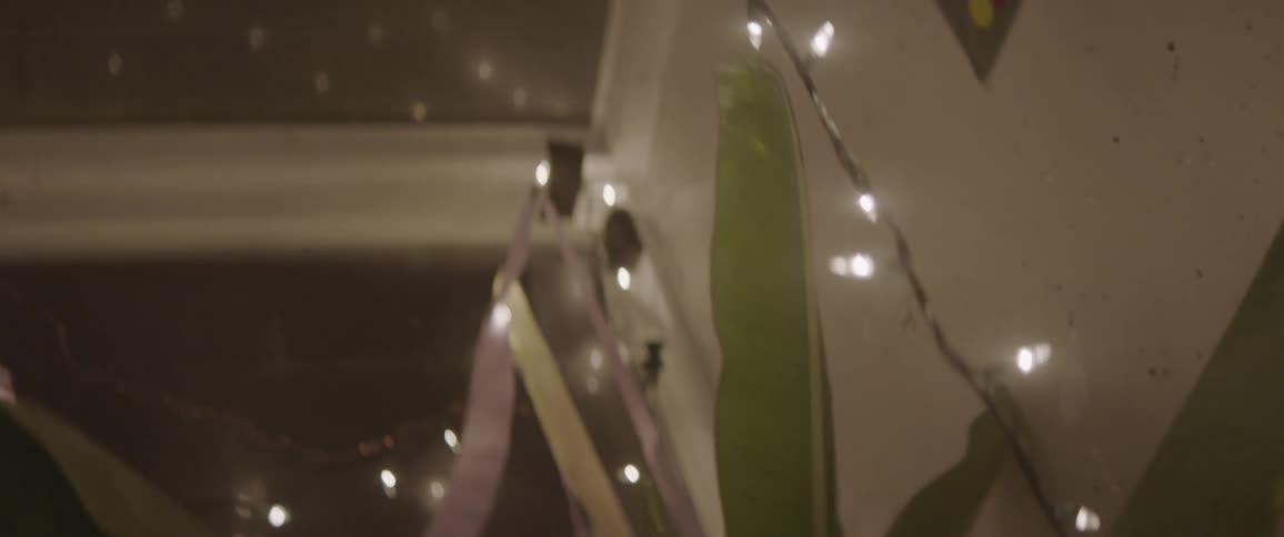 Lights are hanging around the plant