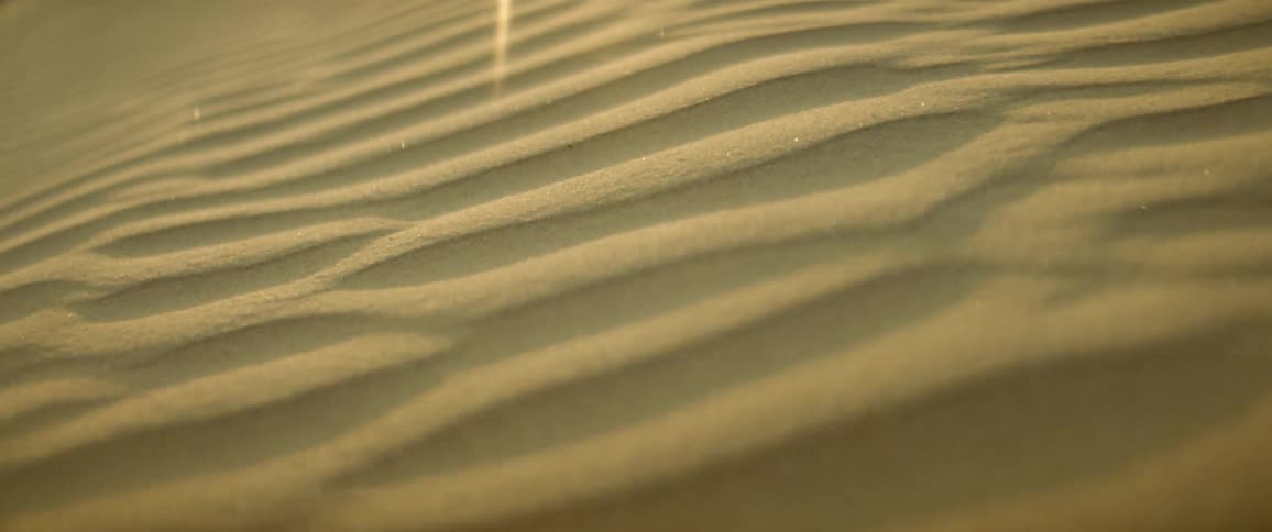 The sun is casting shadow and light across a sand dune