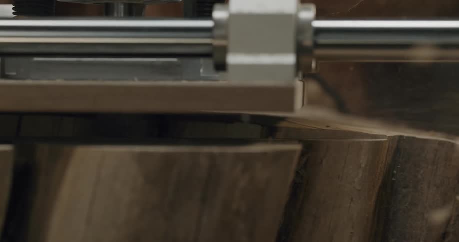 A machine sander is used to smooth down the tops of several tree stumps at the same time