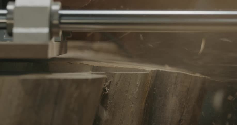 A saw kicks up sawdust while cutting through wood