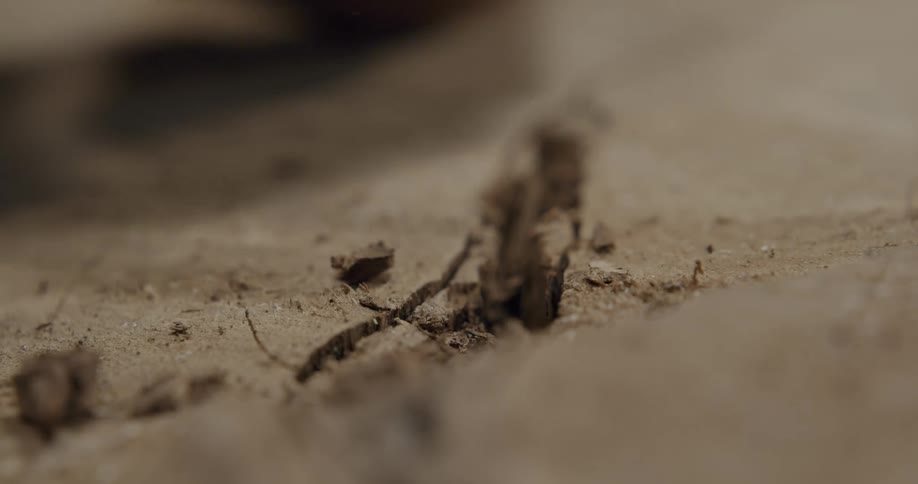 A man digging in the dirt with a small tool