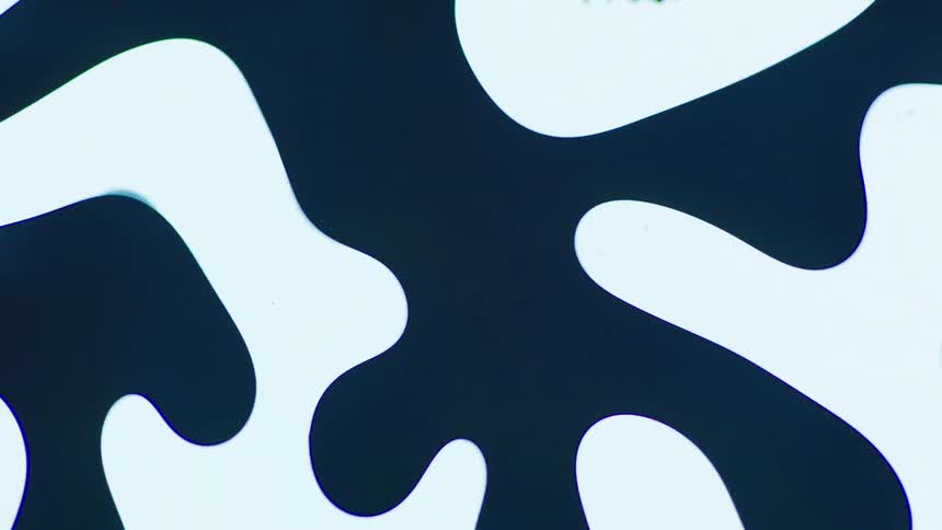 Black liquid and orange liquid and white liquid swirl around together