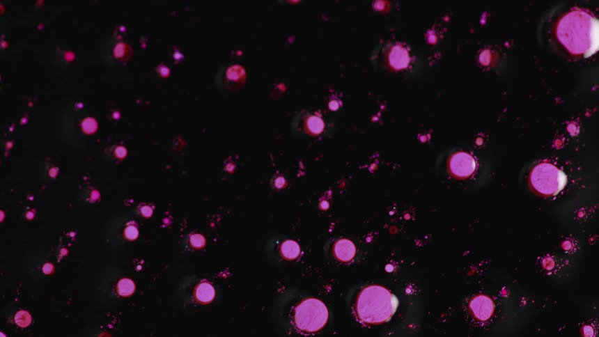 Patterns and shapes on computer wallpaper