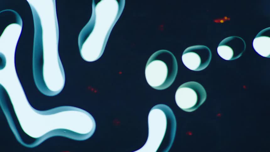 Dark blue digital shape flows across light blue background