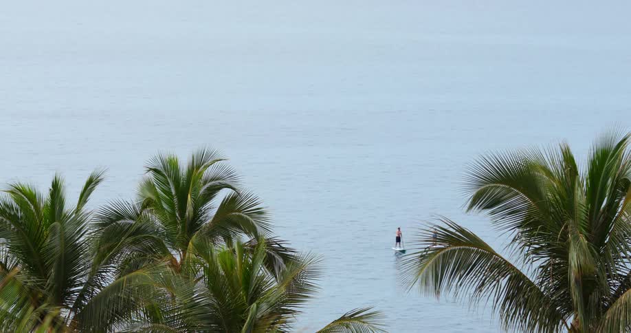 A man and woman paddle boarding